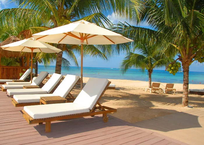 Secrets Aura - Adults Only Cozumel