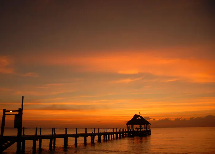 Secrets Aura - Adults Only 4* Cozumel