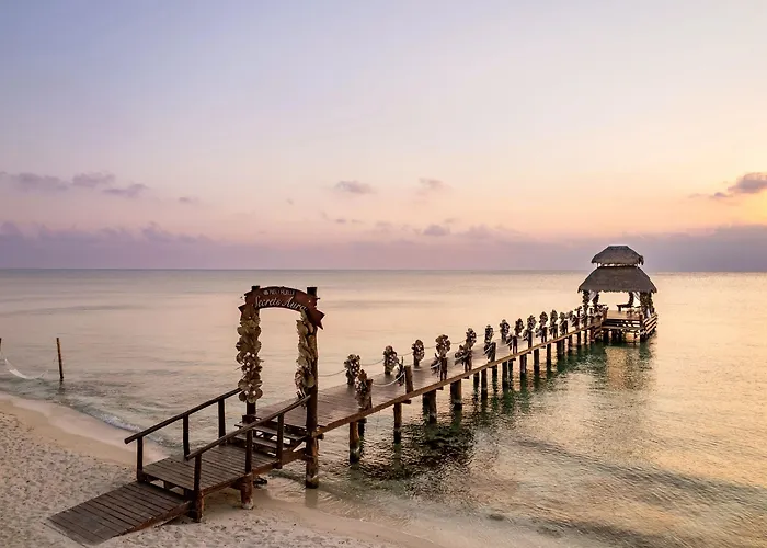 Resort Secrets Aura - Adults Only Cozumel